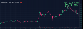 TMM-trade-WOOUSDT-SHORT.png
