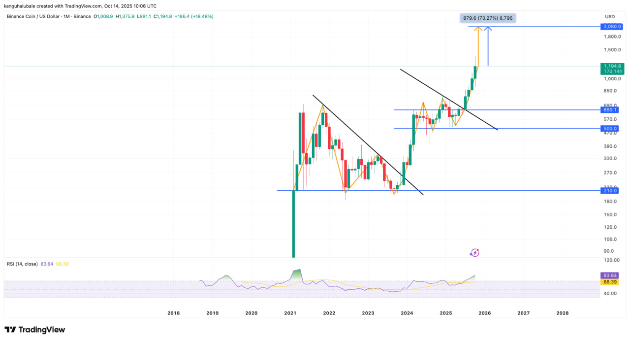 Месячный график BNB/USD