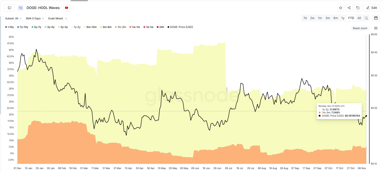 Данные ончейн-аналитики показывают: доля долгосрочных инвесторов в Dogecoin резко снизилась. Если в июле владельцы, державшие монету от года до двух, контролировали более 40% предложения, то сейчас — лишь около 22%.