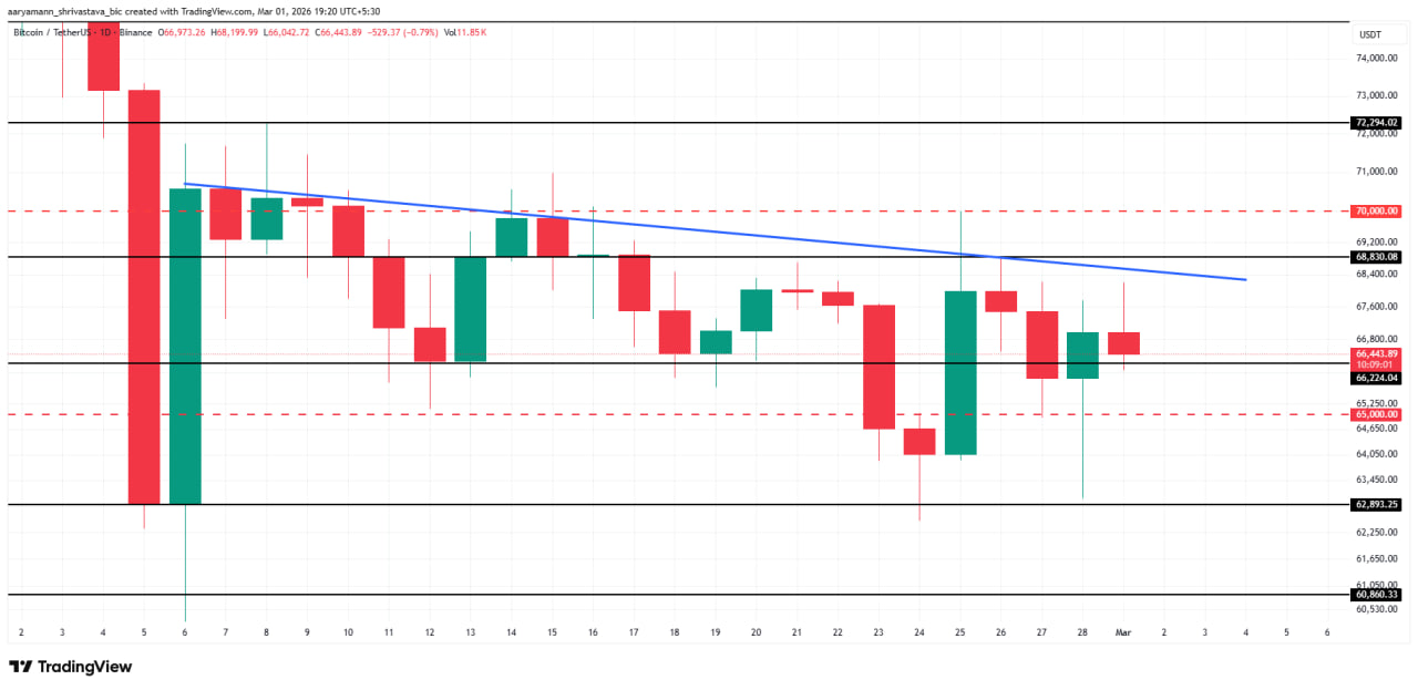 На момент публикации BTC торгуется около $66 400. Цена остается под нисходящей линией сопротивления, которая ограничивает движение уже несколько недель.