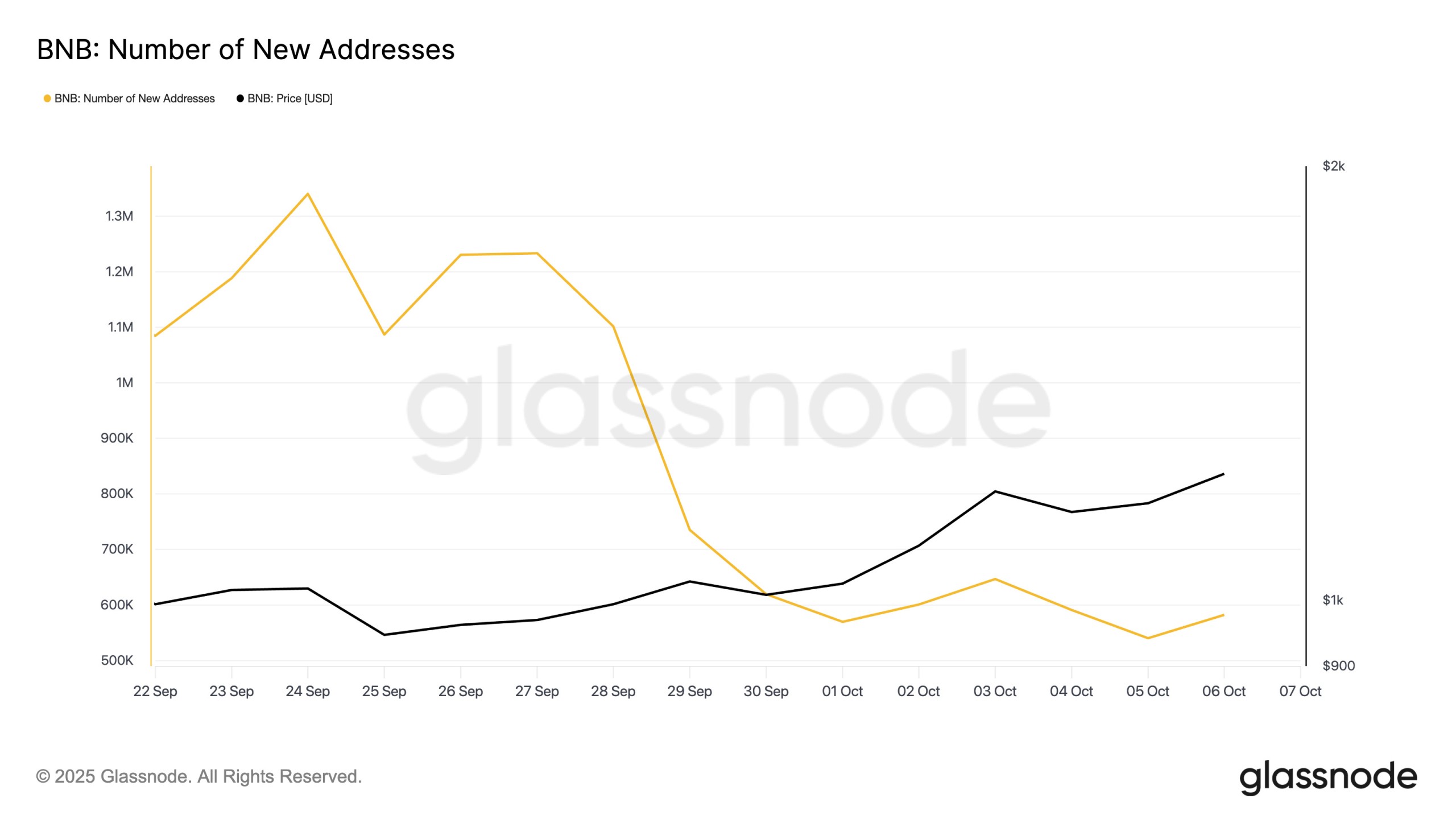 bnb-number-of-new-addresses