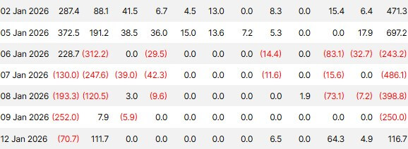 Bitcoin spot ETFs recorded net outflows