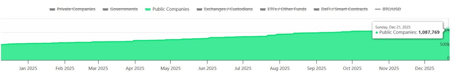 public-companies-bitcoin-holdings