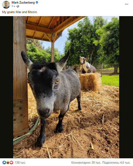 Макс и Биткоин